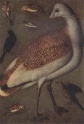 Ludger tom Ring Great Bustard Cock oil painting